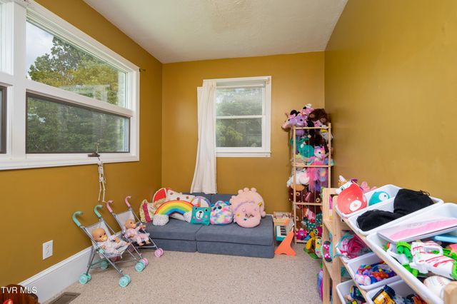 110 Charles Smith Road, Watauga, TN 37694