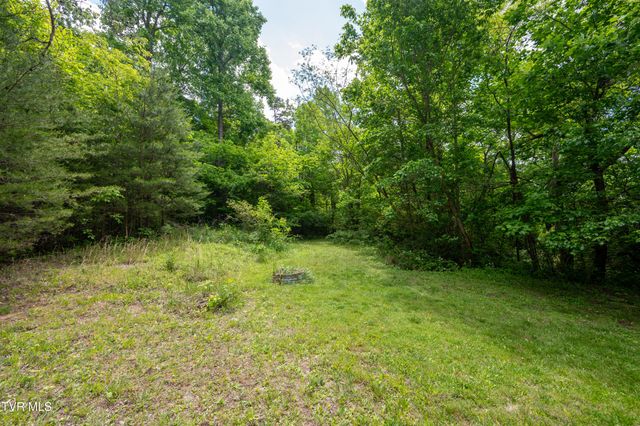 110 Charles Smith Road, Watauga, TN 37694