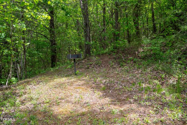 110 Charles Smith Road, Watauga, TN 37694