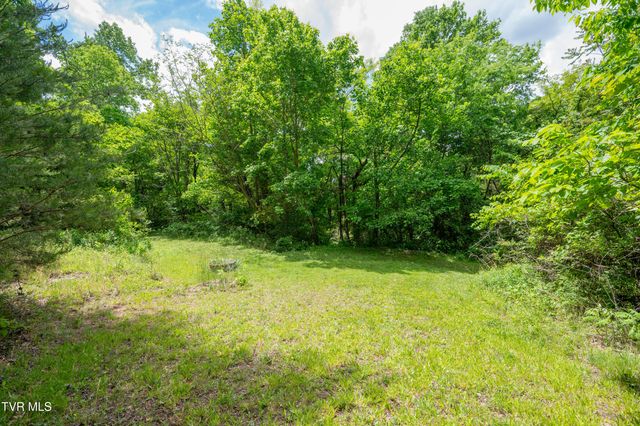 110 Charles Smith Road, Watauga, TN 37694