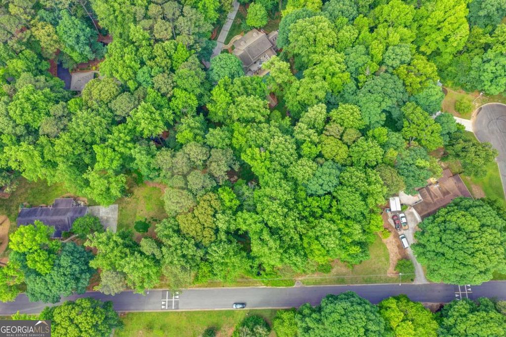 1389 Branchwood Drive, Snellville, GA 30078