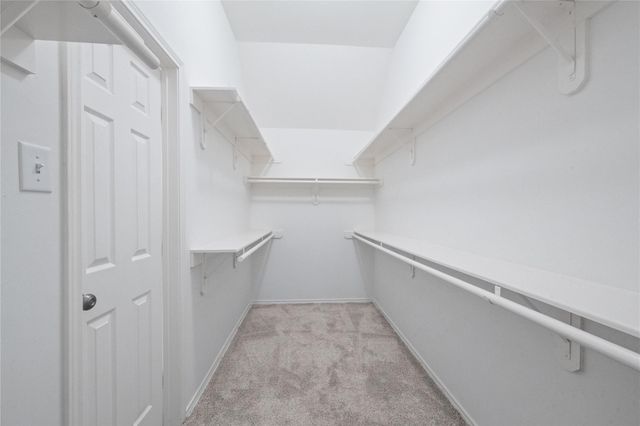 11 Crestview Trail, Houston, TX 77082