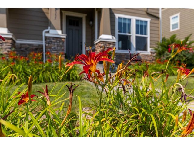 2335 W 164th Pl, Broomfield, CO 80023