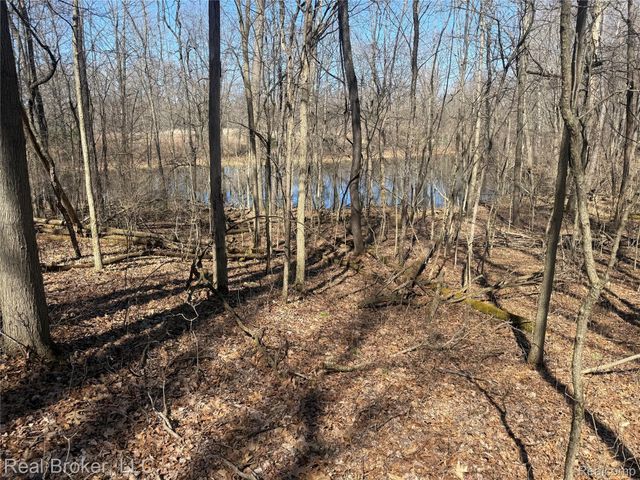1802 N Elba Road, Oregon Township, MI 48446
