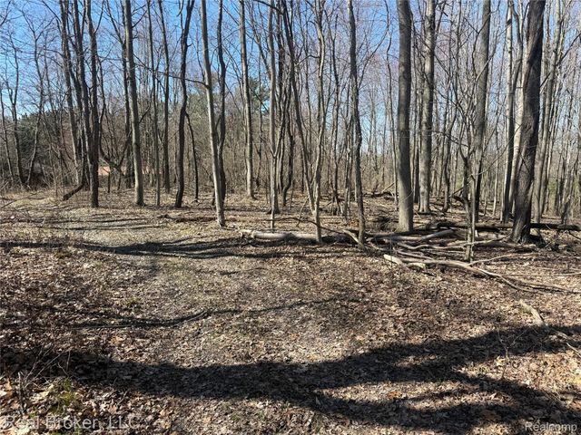 1802 N Elba Road, Oregon Township, MI 48446