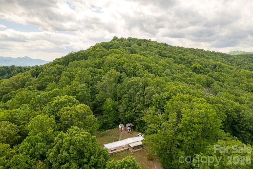 30 Gertrude Lane, Candler, NC 28715