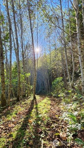 182 State Route 105, Raymond, WA 98577