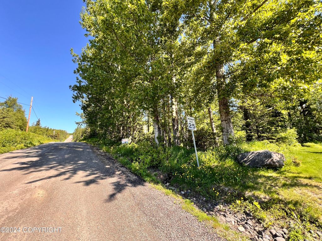 L3 Patrick Road, Anchorage, AK 99516