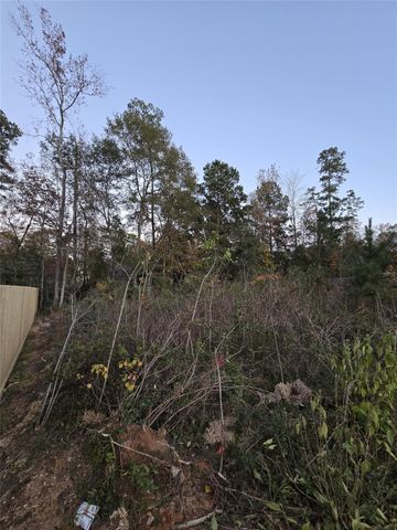 TBD Indian Creek Circle, Willis, TX 77378