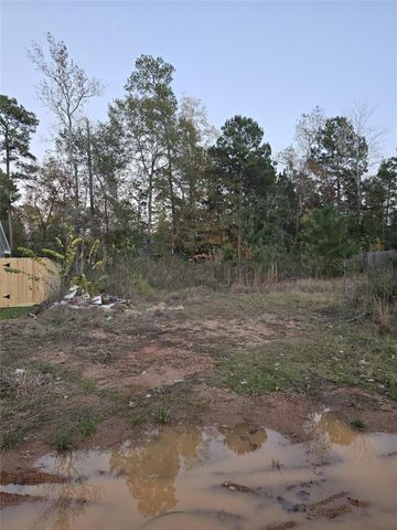 TBD Indian Creek Circle, Willis, TX 77378