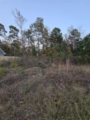 TBD Indian Creek Circle, Willis, TX 77378