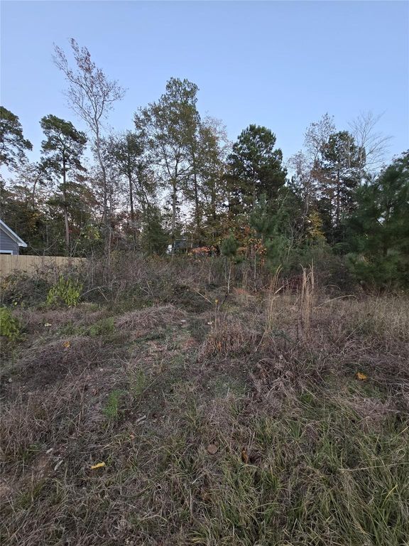 TBD Indian Creek Circle, Willis, TX 77378