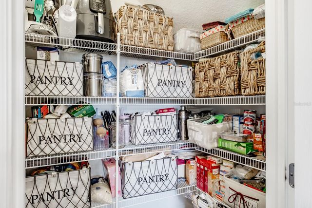 1653 NATURE VIEW DRIVE, Lutz, FL 33558