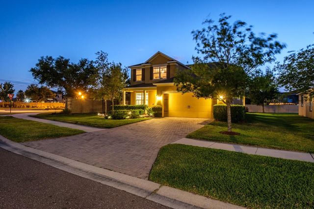 1653 NATURE VIEW DRIVE, Lutz, FL 33558