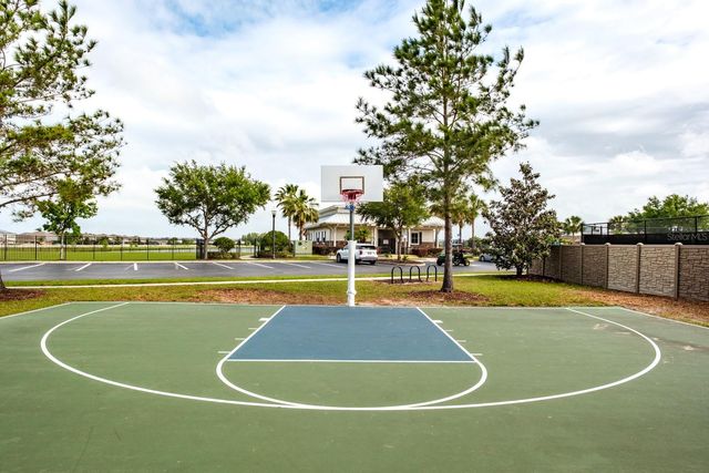 1653 NATURE VIEW DRIVE, Lutz, FL 33558