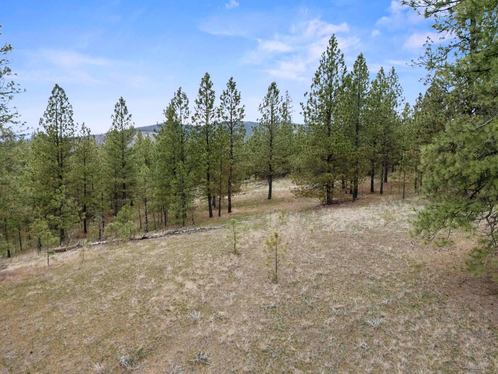 XX Regina Ln, Spokane, WA 99208 photo 12