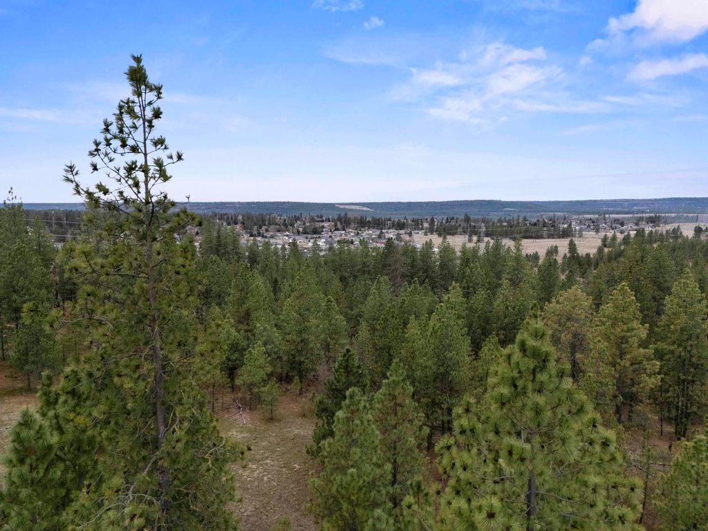 XX Regina Ln, Spokane, WA 99208 photo 15