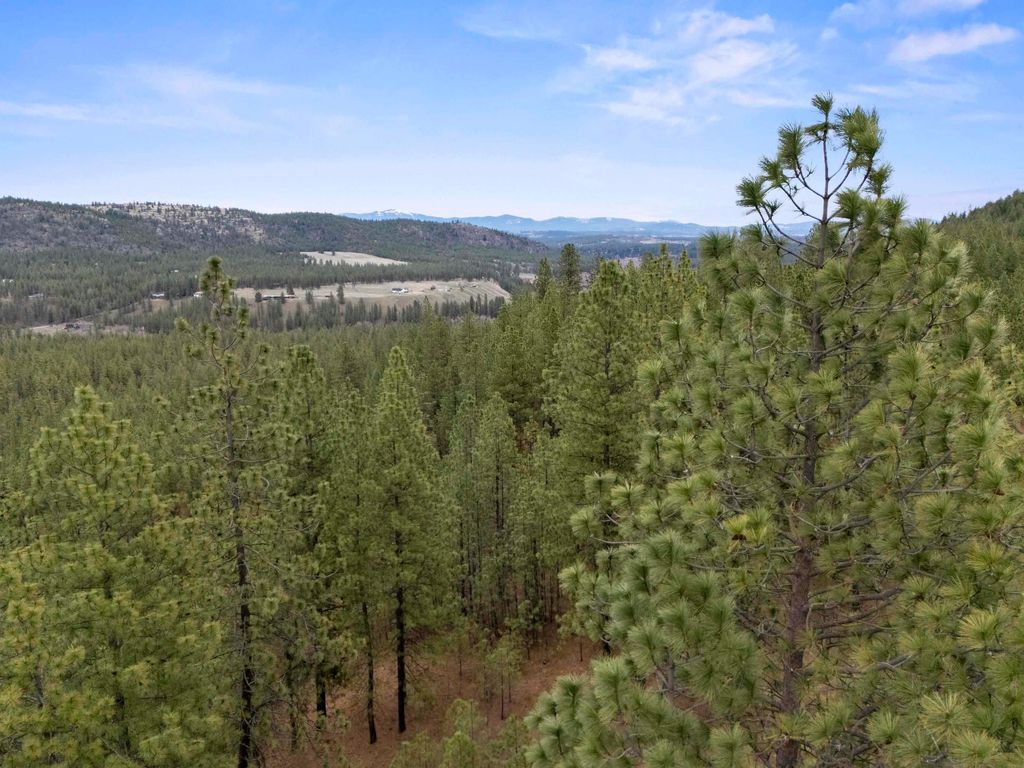 XX Regina Ln, Spokane, WA 99208 photo 20