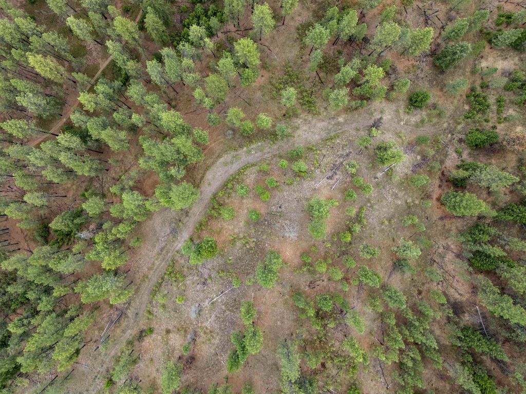 XX Regina Ln, Spokane, WA 99208 photo 24