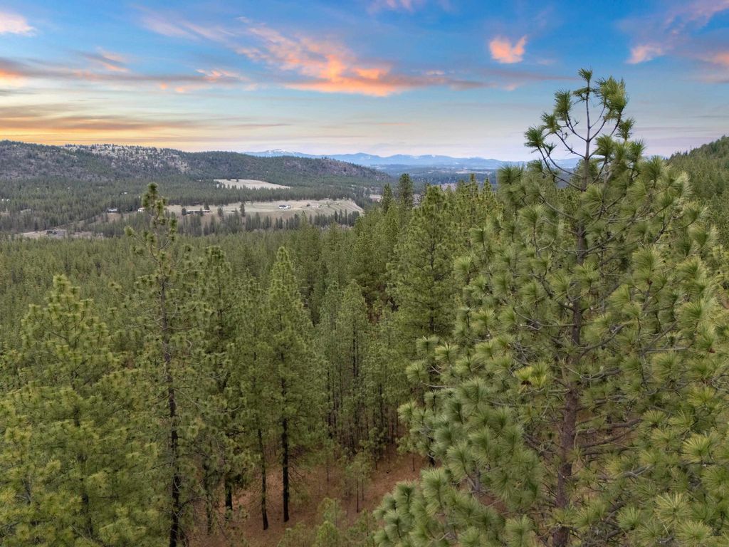 XX Regina Ln, Spokane, WA 99208 photo 6