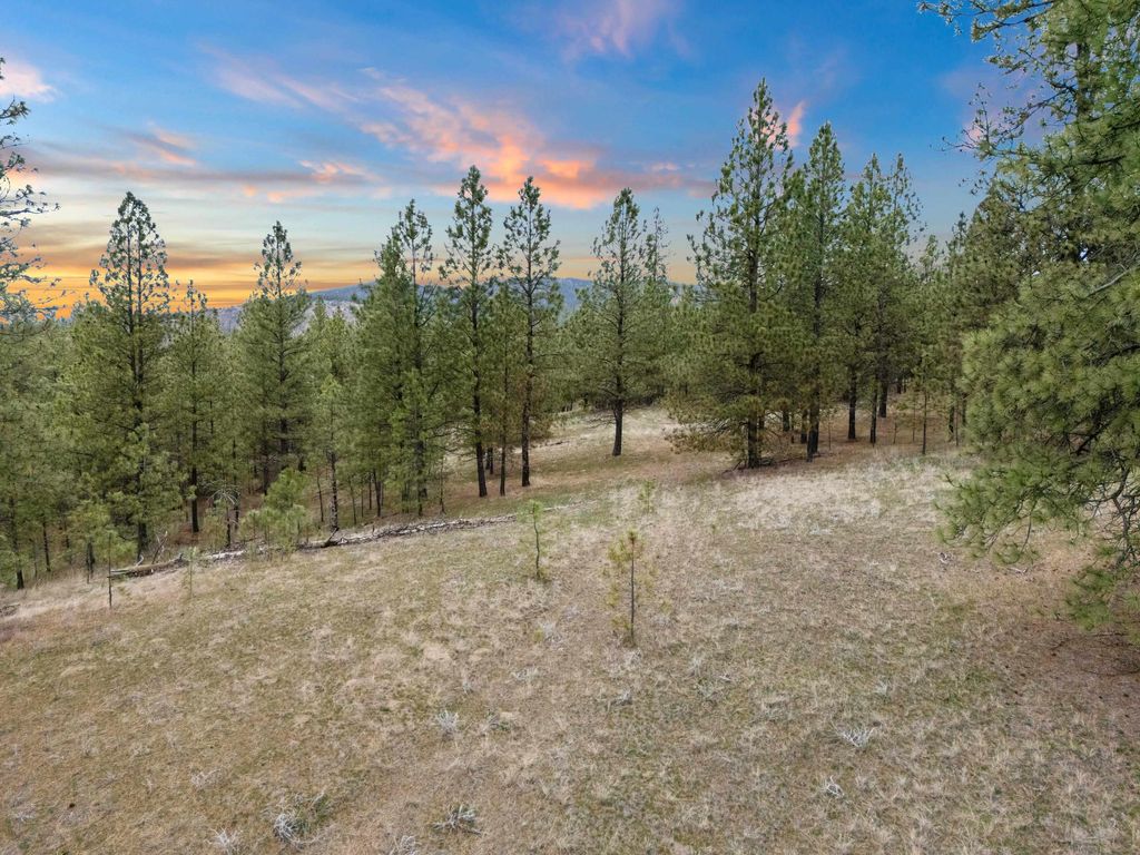 XX Regina Ln, Spokane, WA 99208 photo 7