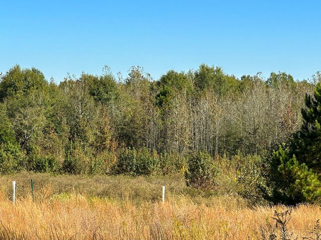 TBD County Road 3420, Leesburg, TX 75451