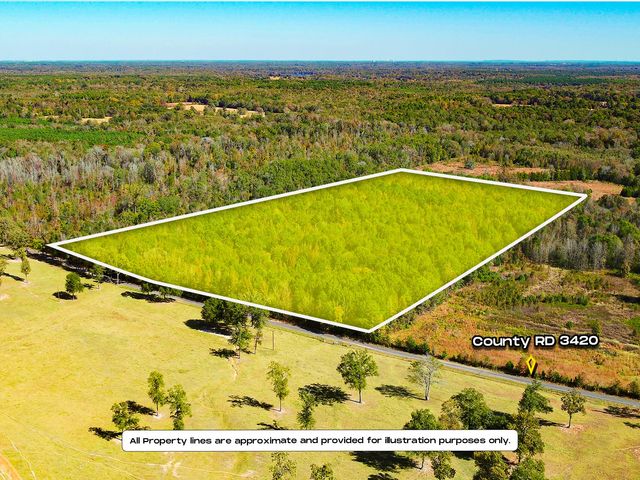 TBD County Road 3420, Leesburg, TX 75451