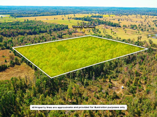 TBD County Road 3420, Leesburg, TX 75451