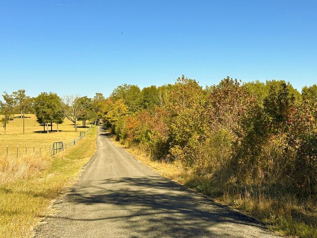 TBD County Road 3420, Leesburg, TX 75451