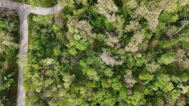 Lot 23 Blackberry Lane, Bertram, IA 52403