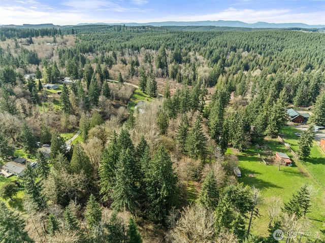 19536 Abbey Lane SE, Bucoda, WA 98530