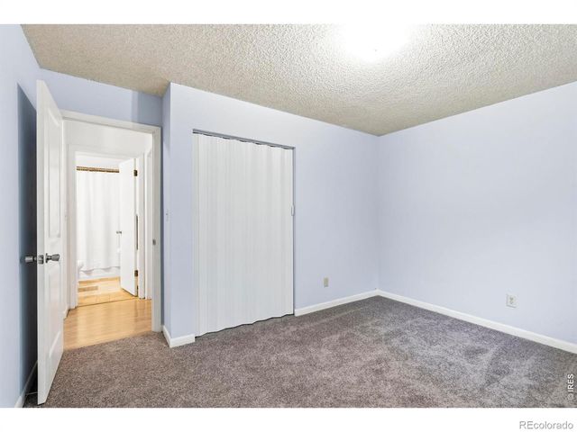 541 Sycamore Drive, Windsor, CO 80550