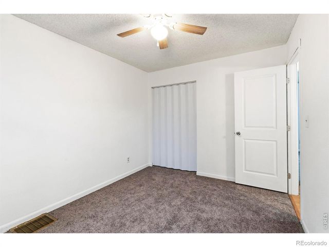 541 Sycamore Drive, Windsor, CO 80550