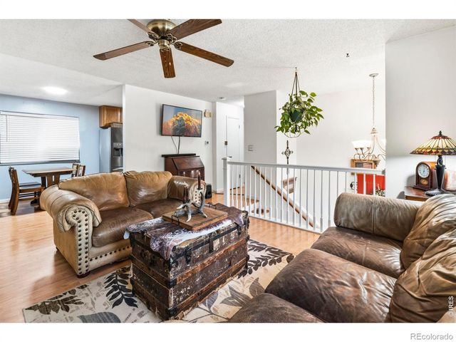 541 Sycamore Drive, Windsor, CO 80550