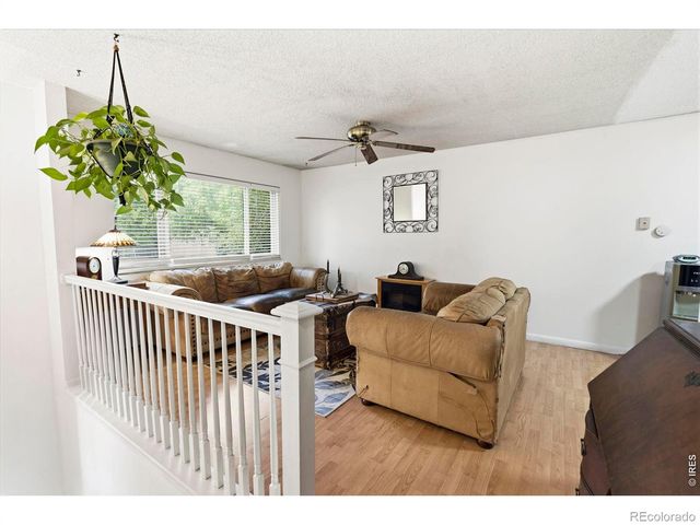 541 Sycamore Drive, Windsor, CO 80550
