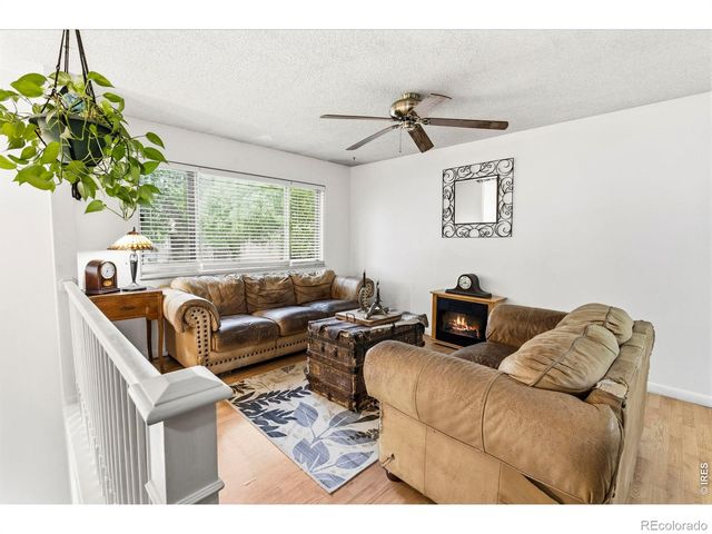 541 Sycamore Drive, Windsor, CO 80550