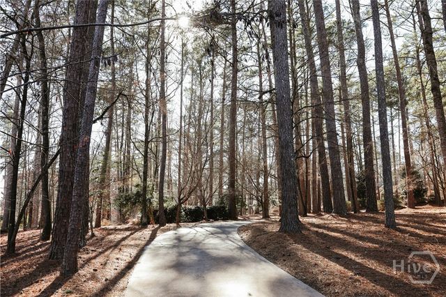 1040 Spy Glass Hill, Greensboro, GA 30642