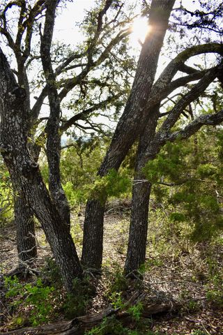 535 Canyon Rock Drive, Spring Branch, TX 78070