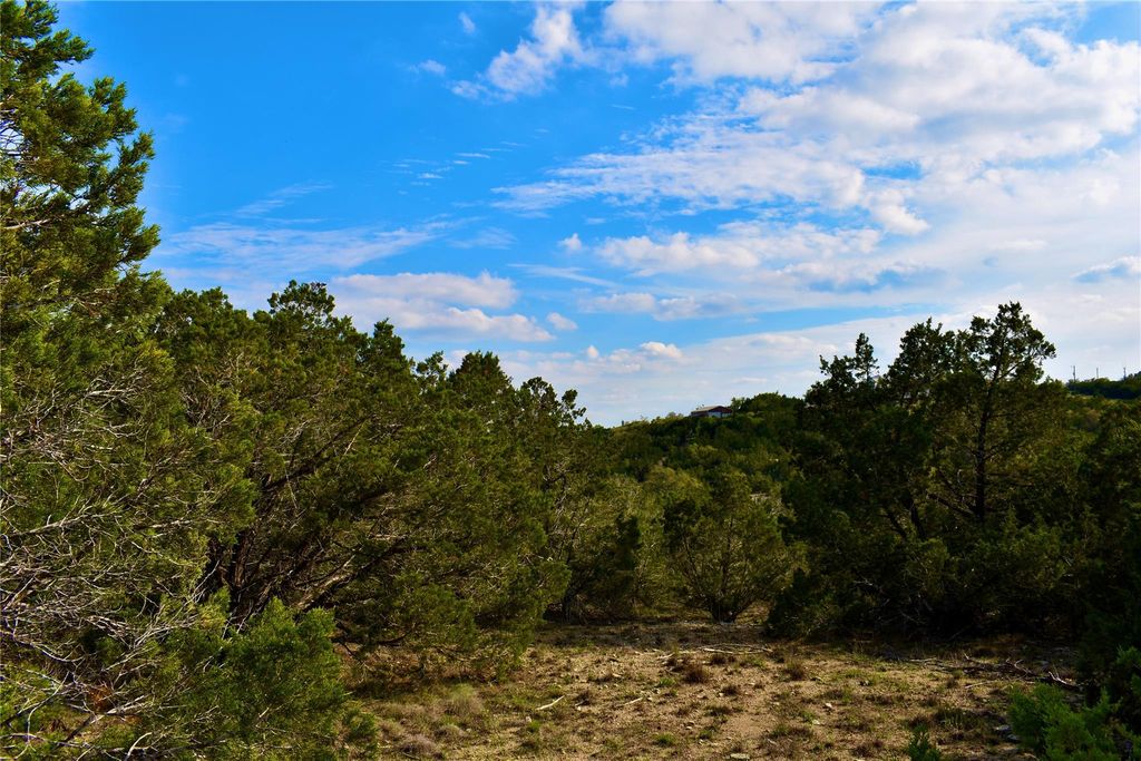 535 Canyon Rock Drive, Spring Branch, TX 78070