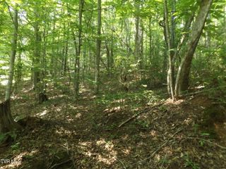 Tbd Rome Hollow Road, Elizabethton, TN 37643