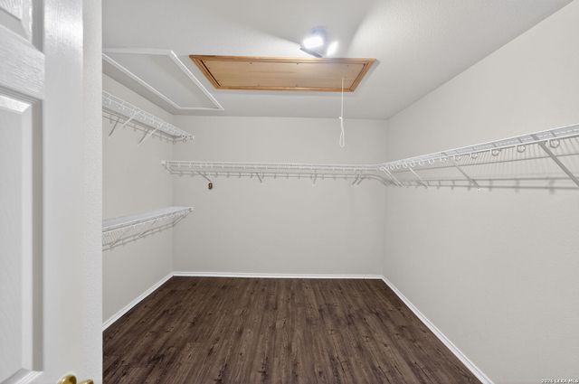 4626 Tanner Peak, San Antonio, TX 78247