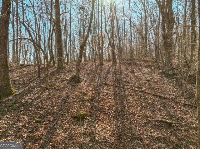 LOT 9 Mount Mincie Road, Murrayville, GA 30564
