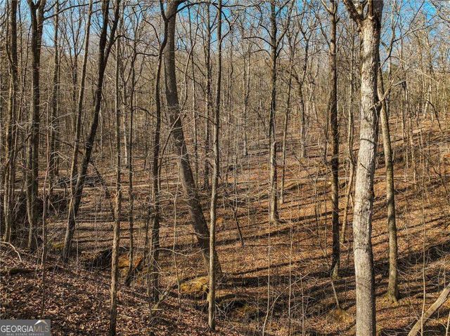LOT 9 Mount Mincie Road, Murrayville, GA 30564