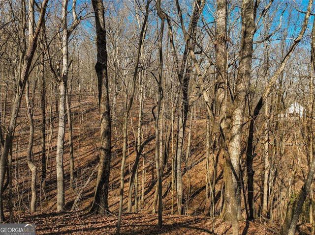 LOT 9 Mount Mincie Road, Murrayville, GA 30564