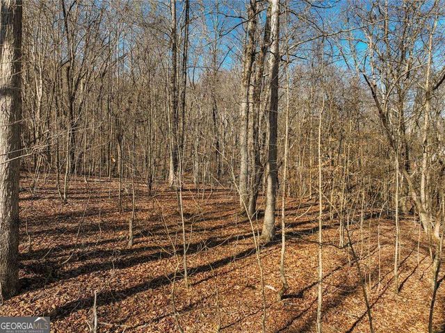LOT 9 Mount Mincie Road, Murrayville, GA 30564