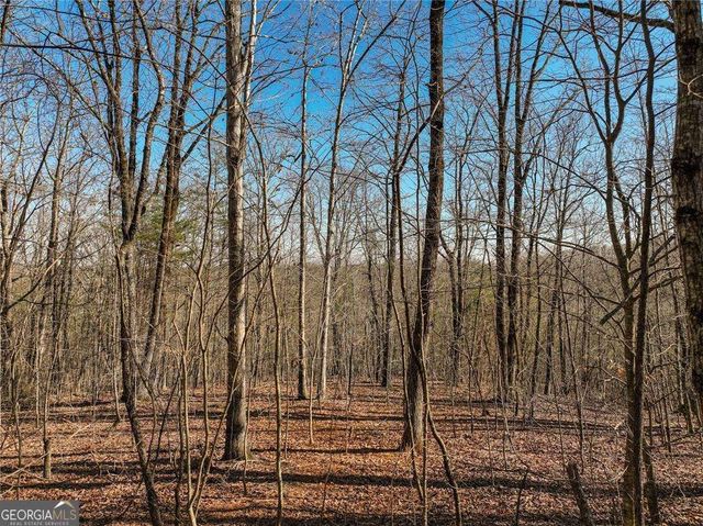 LOT 9 Mount Mincie Road, Murrayville, GA 30564