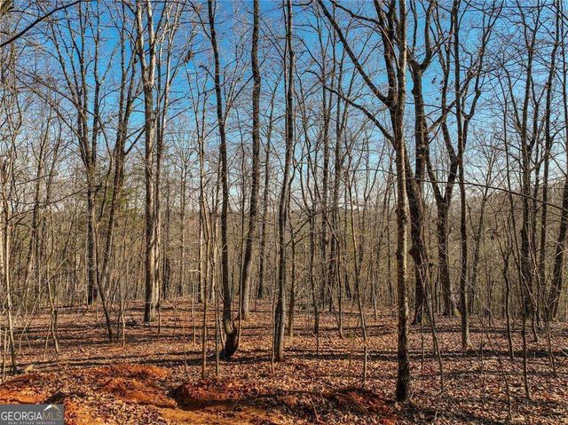 LOT 9 Mount Mincie Road, Murrayville, GA 30564