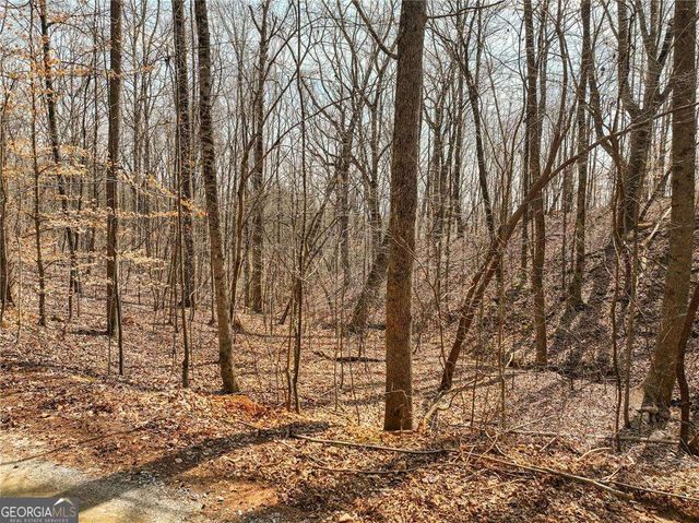 LOT 9 Mount Mincie Road, Murrayville, GA 30564