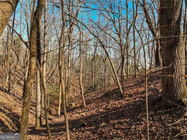 LOT 9 Mount Mincie Road, Murrayville, GA 30564