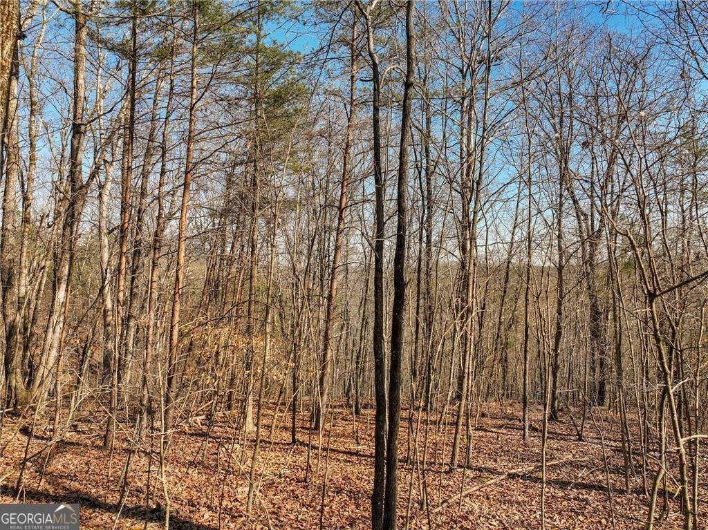 LOT 9 Mount Mincie Road, Murrayville, GA 30564